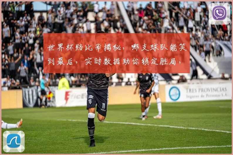 世界杯赔比率揭秘，哪支球队能笑到最后，实时数据助你锁定胜局，一窥究竟